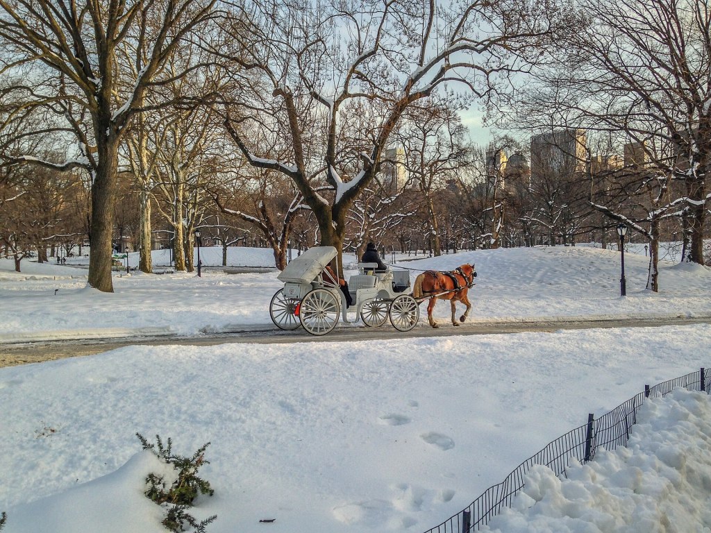 The Last Ride Around the Park